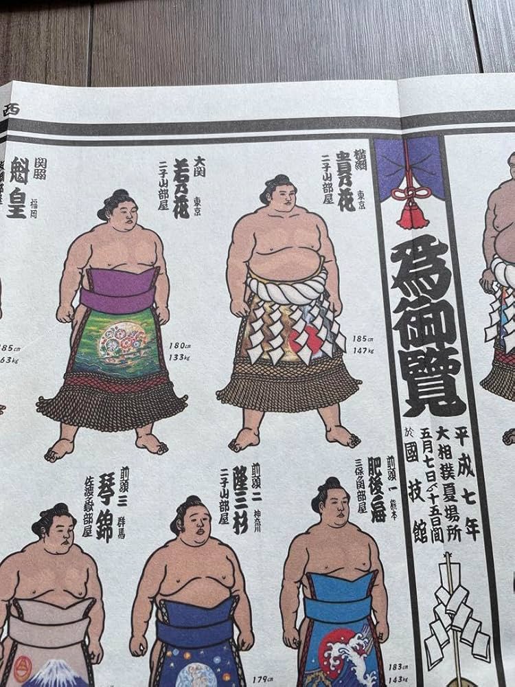 激レア　羽子板　若ノ花　貴ノ花　相撲グッズ　貴乃花　若乃花　若貴　正月 楽天市場】貴乃花光司関 優勝ミニ額 大相撲ミニ額 大相撲優勝額